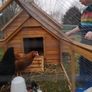 Large Chicken Coop 9 to 12 Birds Image 7