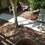garden Image 2