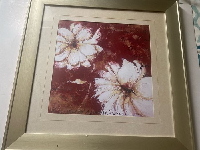 pictutre framed and glazed print botanical