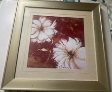 pictutre framed and glazed print botanical