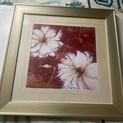 pictutre framed and glazed print botanical