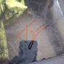 NILE: In Their Darkened Shrines -2 LP (Autographed) Image 3