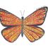 mahonyc