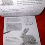 Children's activity/drawing book Image 2