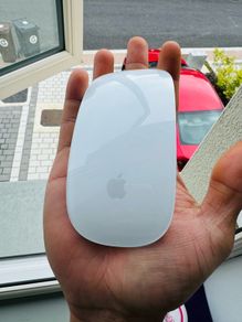 Apple mouse