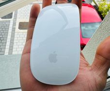 Apple mouse