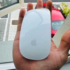 Apple mouse