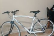 Race bike