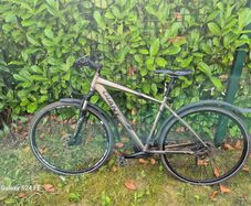 Giant Roam Bicycle