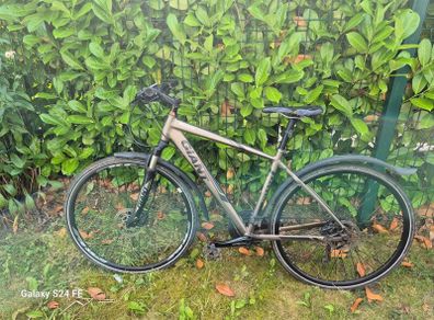 Giant Roam Bicycle