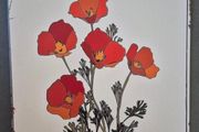 Vintage Style  Metal Sign, california poppy.