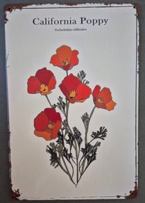 Vintage Style  Metal Sign, california poppy.