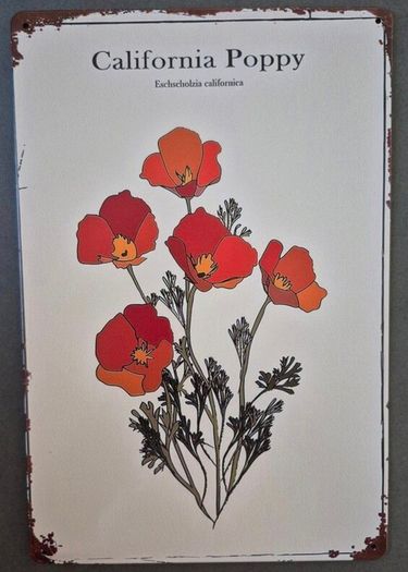 Vintage Style  Metal Sign, california poppy.