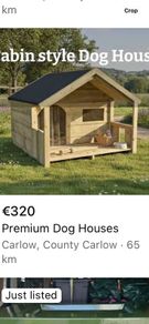 dog house
