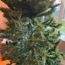 6ft Slim Christmas Tree Image 4