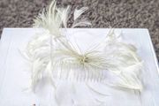 Light green fascinator