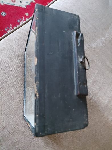 Antique taxidermy Kingfisher in wooden case with a glass front