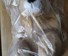 GOSH! Lion softie 30cm