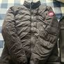 canada goose Image 7