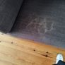 Couch Image 3