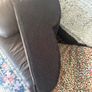 Foam Dog ramp / step Image 2