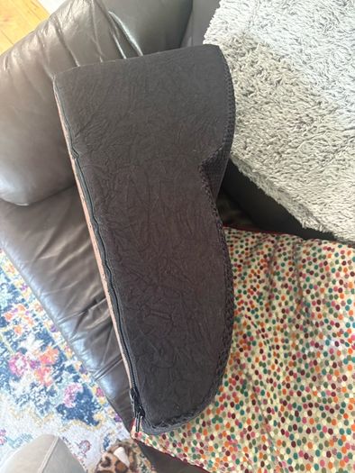 Foam Dog ramp / step