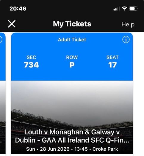 Dublin Match Quarter final ticket this weekend