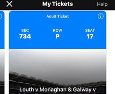 Dublin Match Quarter final ticket this weekend