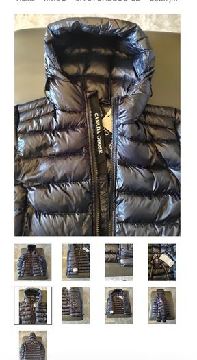 canada goose