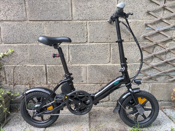 Fiido D3 Pro Electric Bike