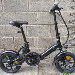 Fiido D3 Pro Electric Bike
