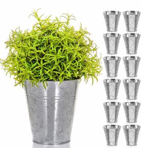 Pack of 12 Galvanised Iron Metal Flower Pots in Weather Resistant Metal for Indoor or Outdoor Use, Ideal for Plants, Herb Collection, Flowers and Shrubs