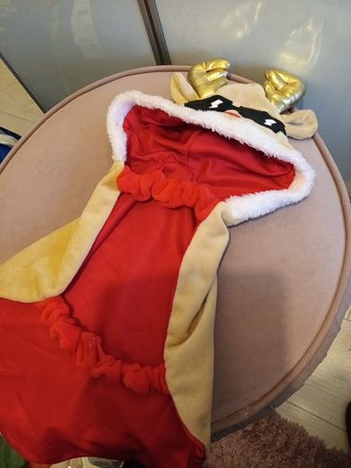 Funky rudolf dog coat