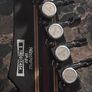 Ibanez Premium Image 2