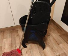 Professional mop and bucket