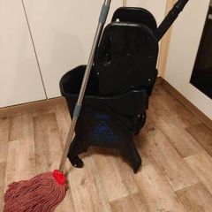 Professional mop and bucket