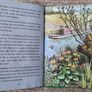 Vintage Ladybird 'What to Look for in Spring' Image 2