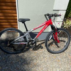 Trek kids mountain bike