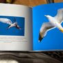 The Sky Cube Book Image 3