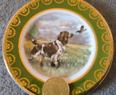 small arklow pottery plate,   NOW FOUND