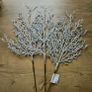 Christmas stems Image 2
