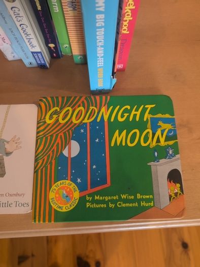 30+ Kids Board Books
