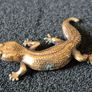 3 brass lizards. Image 5