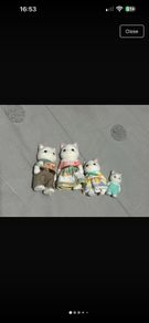 Latte cat Sylvanian families