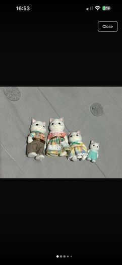 Latte cat Sylvanian families