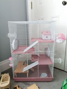 Hamster cage