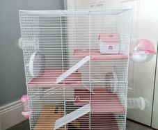 Hamster cage