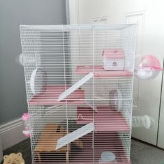 Hamster cage