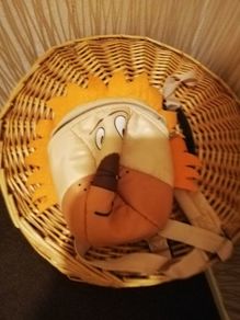 Kids bag