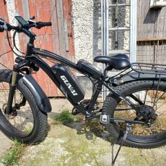 Electric Bike